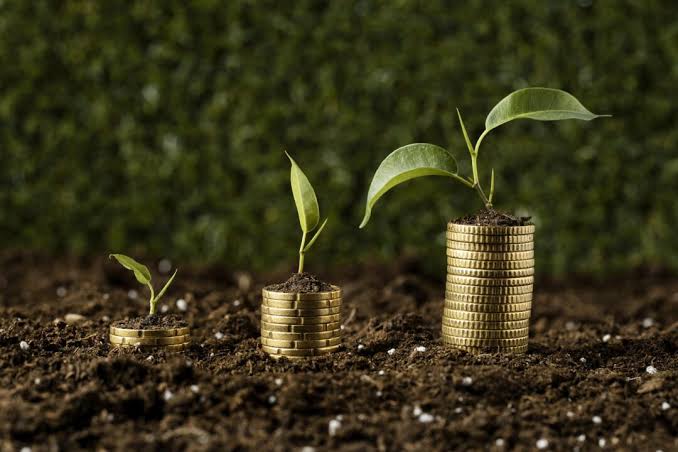 Educação financeira conquista a nova geração